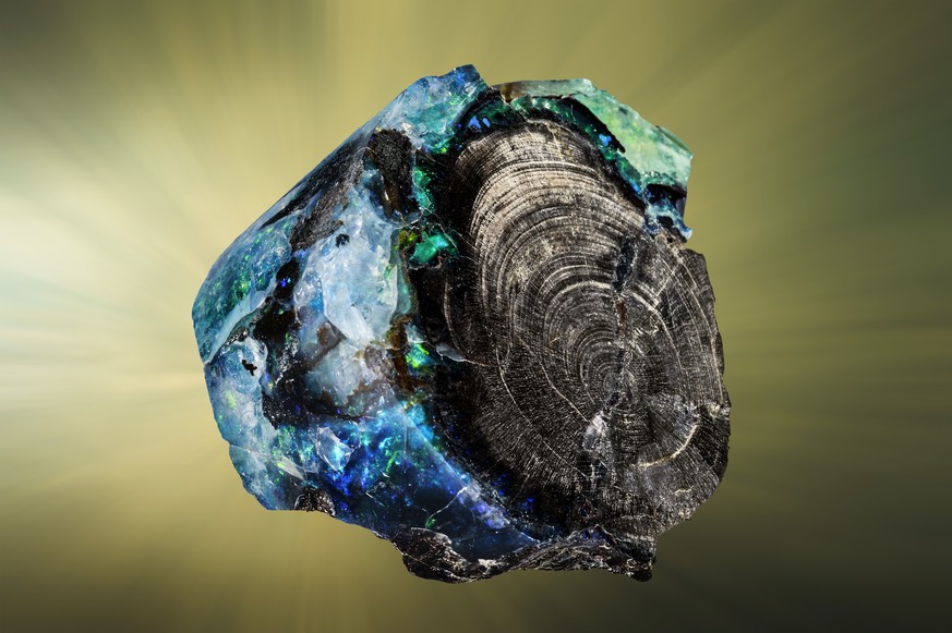 Fossilie Hölzer. Foto Urs Möckli - Sauriermuseum Aathal 03_Fossiles_Holz_Edelopal.jpg
Verkieseltes Holzstück mit Edelopal-Umhüllung.
Eozän, 40 Millionen Jahre alt, 4 x 3 x 2.8 cm.
Fundort: Virgin Vall ...