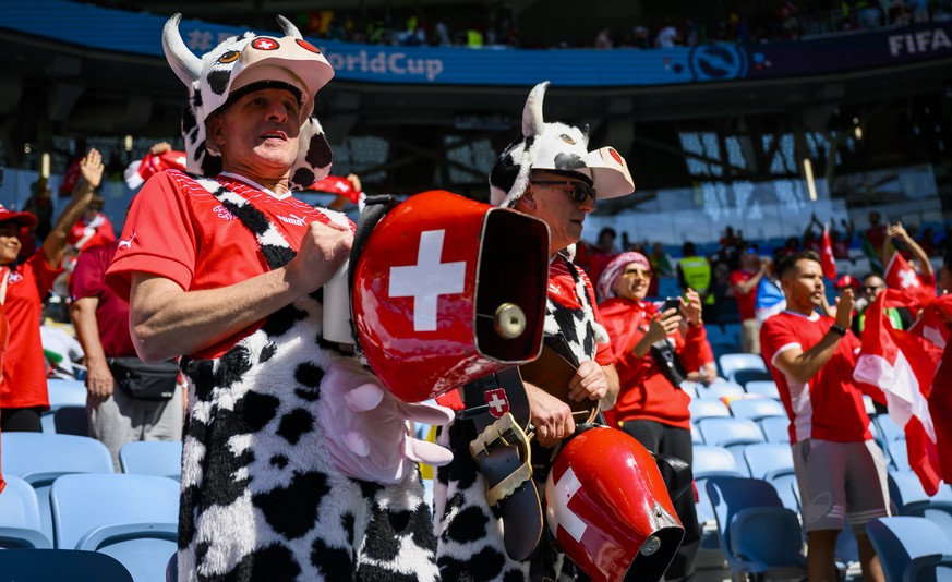 Swiss fans dressed as cows celebrate with bells during the FIFA World Cup Qatar 2022 group G soccer match between Switzerland and Cameroon at the Al-Janoub Stadium in Al-Wakrah, south of Doha, Qatar,  ...