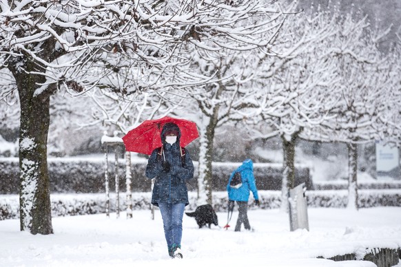 Eine Frau mit rotem Regenschirm und Atemschutzmaske laeuft unter schneebedeckten Baeumen in Unteraegeri am Dienstag, 1. Dezember 2020. (KEYSTONE/Alexandra Wey)