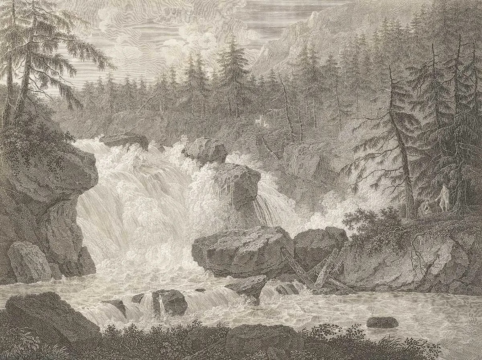 Kraftvolle Natur: Gemäldereproduktion von Ludwig Hess’ «Chute du Rhin dite Cataracte de Ruflen au pays des Grisons», 1797.
https://permalink.nationalmuseum.ch/100720779