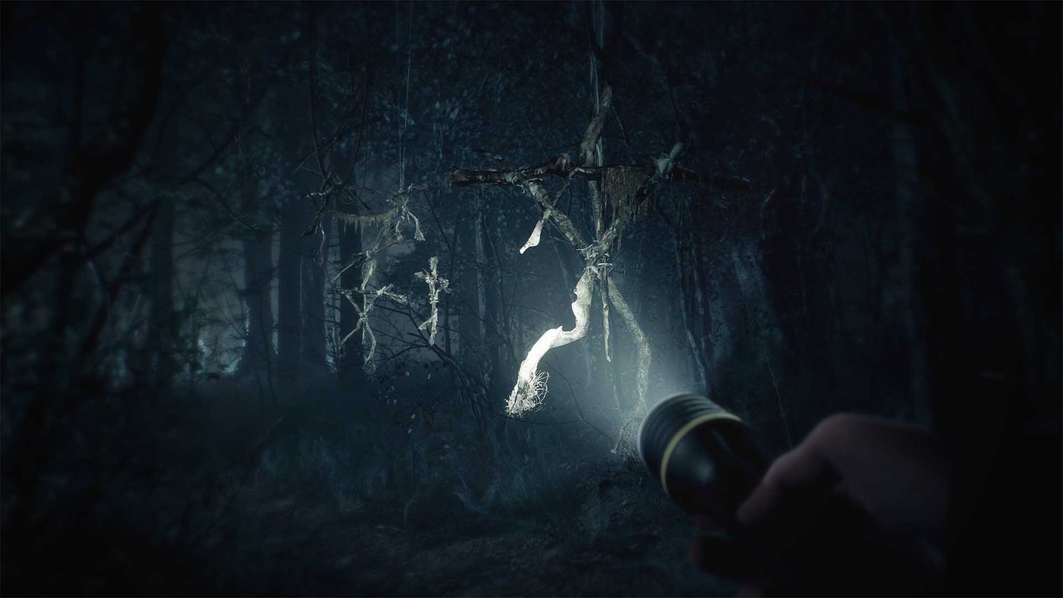 Die Taschenlampe ist oft die einzige Lichtquelle im dunklen Wald.