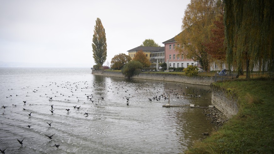 Blick auf Gebaeude der Psychiatrischen Klinik, aufgenommen am Montag, 31. Oktober 2016, in Muensterlingen. Wie der Tages Anzeiger die untersuchende Historikerin Marietta Meier zitiert, sollen die in d ...