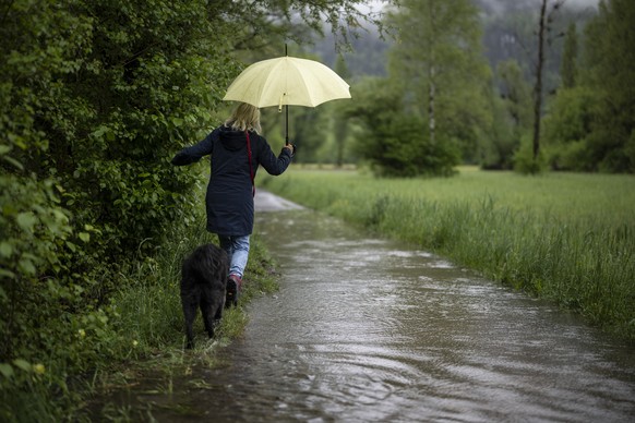 Eine Frau mit Regenschirm und Hund sucht den trockensten Pfad in einem ueberfluteten Weg, am Donnerstag, 11. Mai 2023, in Filzbach. Die andauernden Niederschlaege der vergangenen Woche sorgen fuer ein ...