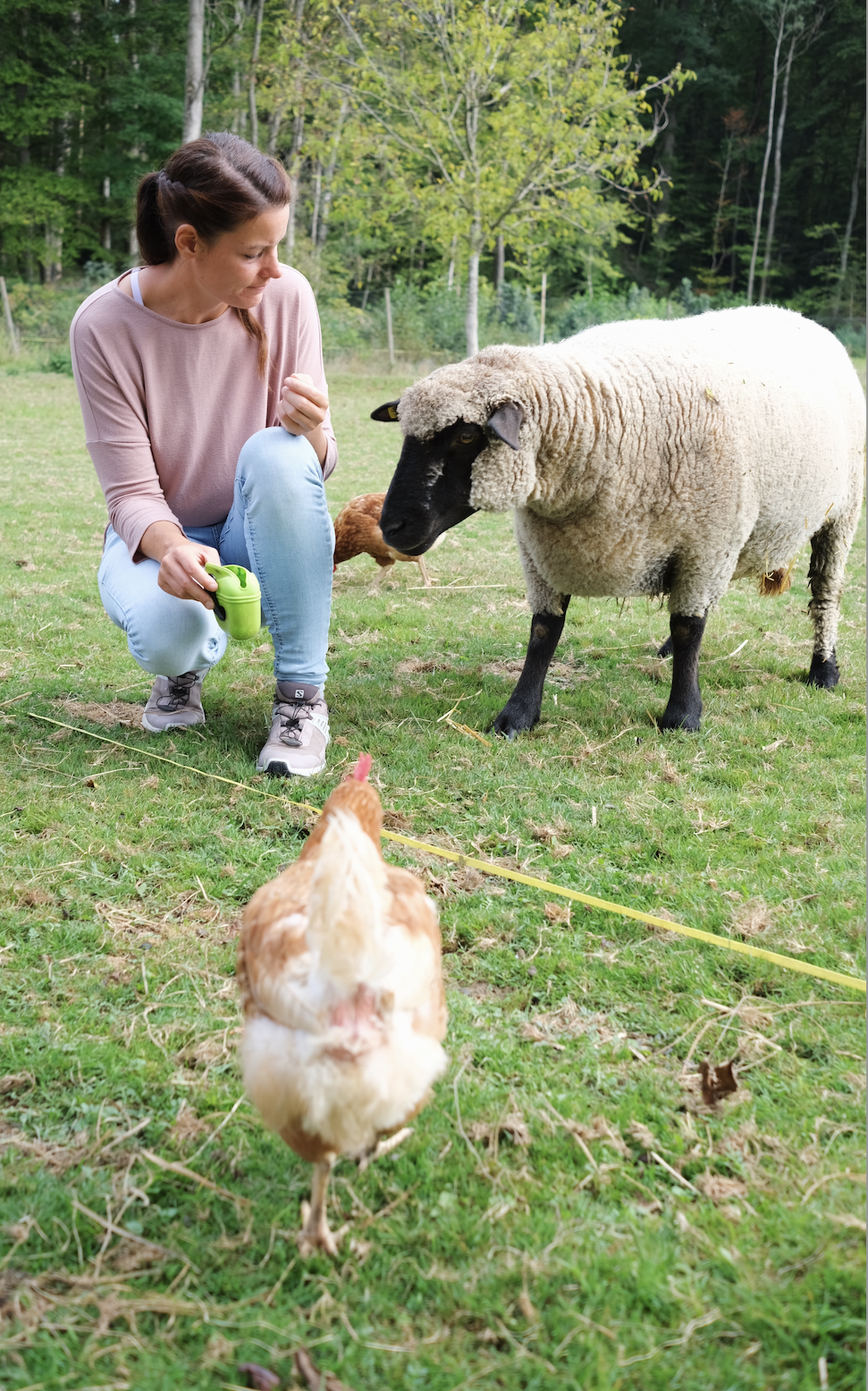 Massentierhaltung, Tierhaltung, Bauernhof, Lebenshof, Umstellung Landwirtschaft, Bio, Tierhaltung, Massentierhaltungsinitative