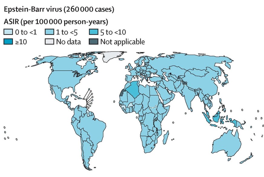 Epstein-Barr Virus
https://www.thelancet.com/journals/lanonc/article/PIIS1470-2045%2826%2900307-4/fulltext