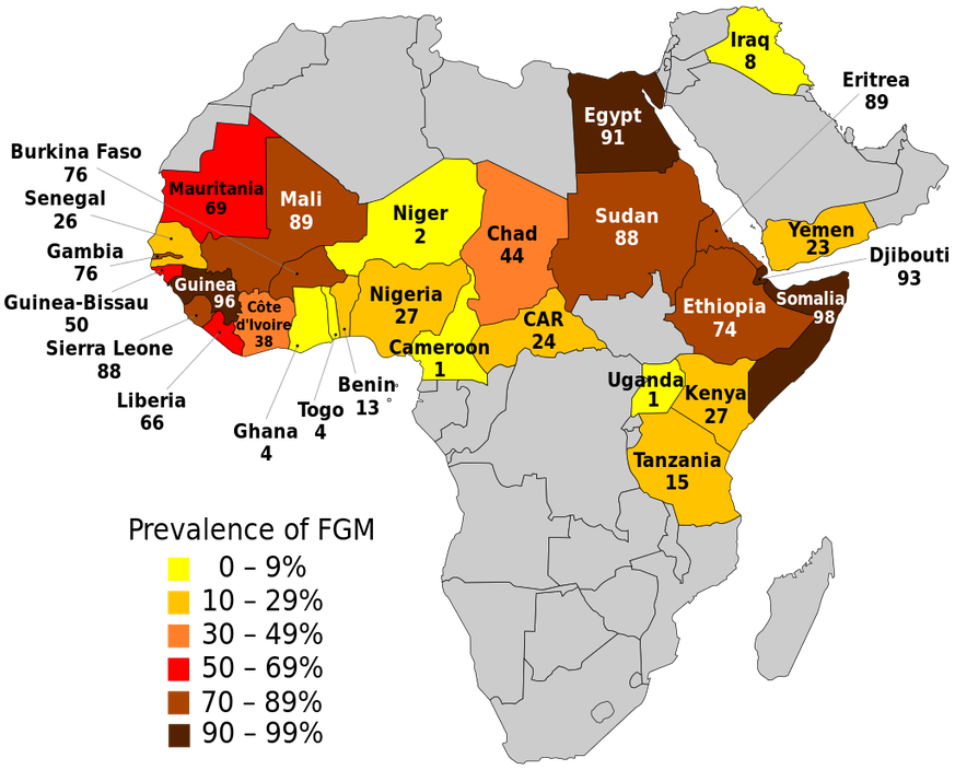 In Ägypten, am Horn von Afrika und in Guinea ist der Anteil der betroffenen Frauen besonders hoch. &nbsp;<br data-editable="remove">