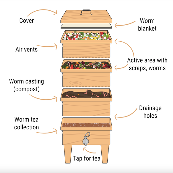 Modell einer Wurmkiste (von oben nach unten): Deckel, Hanfmatte (für den Erhalt der Feuchtigkeit), obere Schicht mit frischem Biomüll, untere Schicht mit frischem Wurmhumus, Drainage-Vlies, Wurmtee (= Flüssigdünger). 