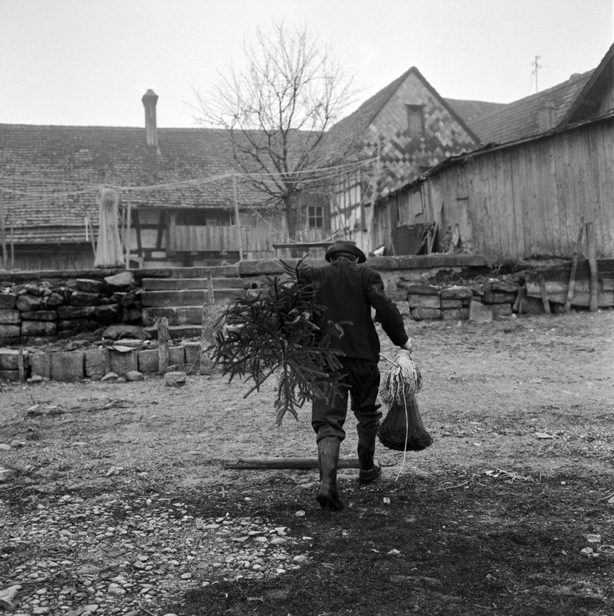 Weihnachten bei einem Fischer in Ermatingen, Kanton Thurgau. Ein Fischer kehrt mit seinen Netzen und einem Tannenbaum heim. Aufgenommen am 24. Dezember 1958. (KEYSTONE/Photopress-Archiv/Jules Vogt)
