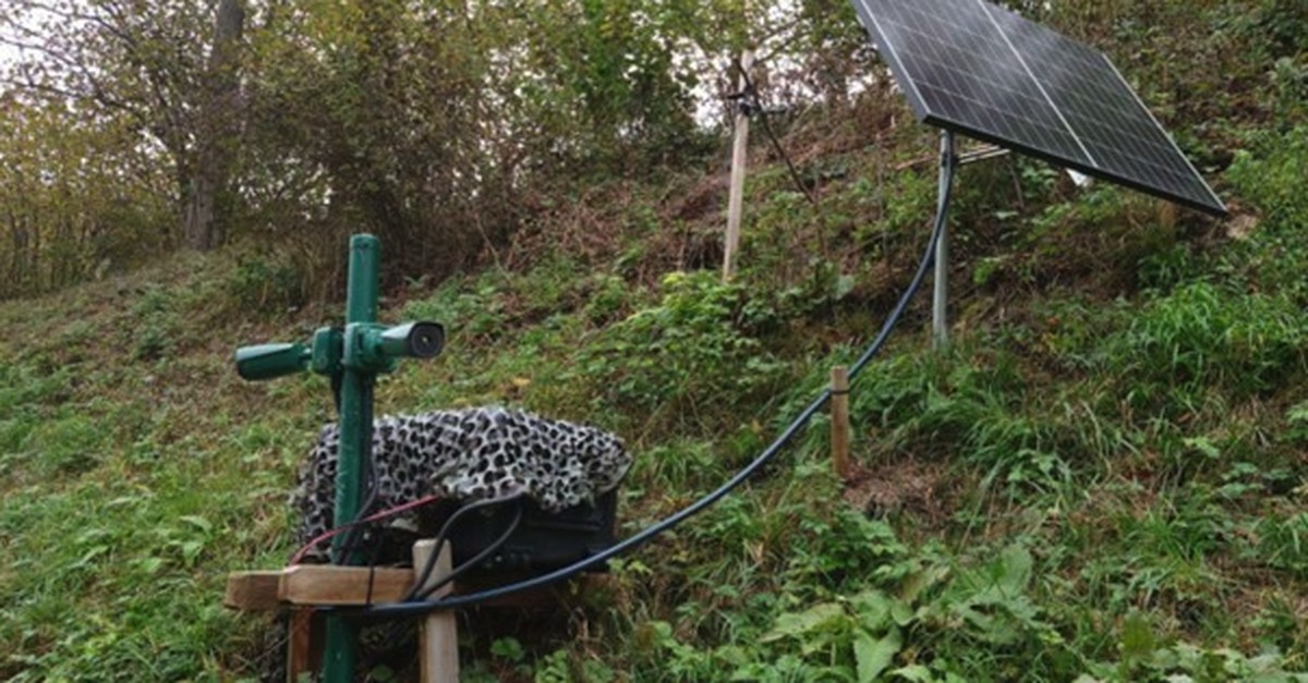 auf-der-schwyzer-hauptstrasse-h8-sollen-lichter-vor-tieren-warnen