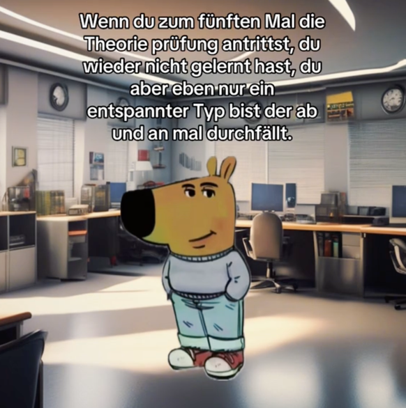 Chill Guy, Entspannter Typ