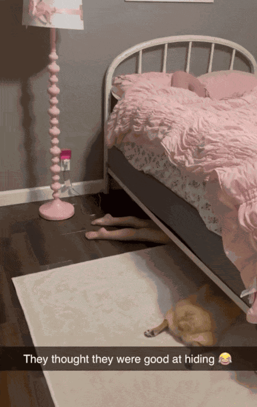 Animiertes GIF