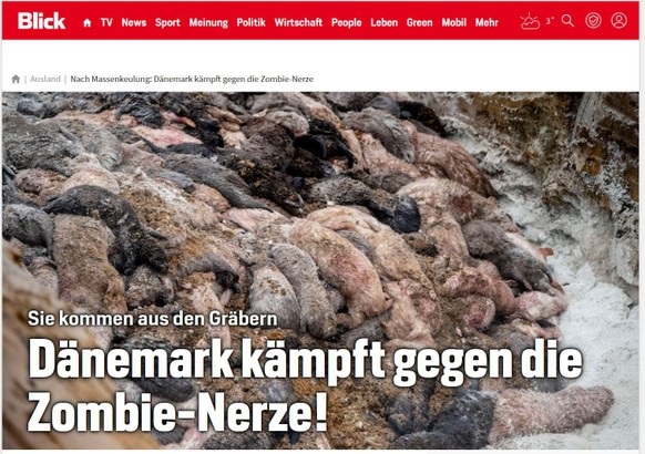 Zombie-Nerze in Dänemark: Begrabene Tiere tauchen wieder auf\nBeim Titel bedient ihr euch der Blick Rhetorik. 
Achievement unlocked - gratuliere.
