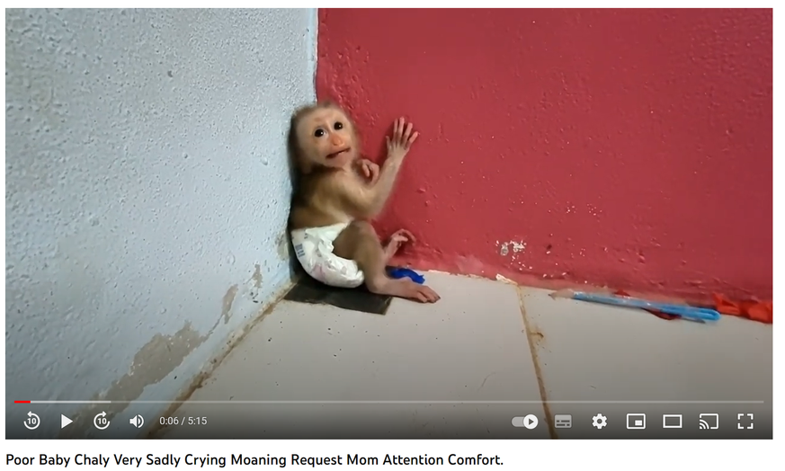 This video is three hours old at the time of writing this article.