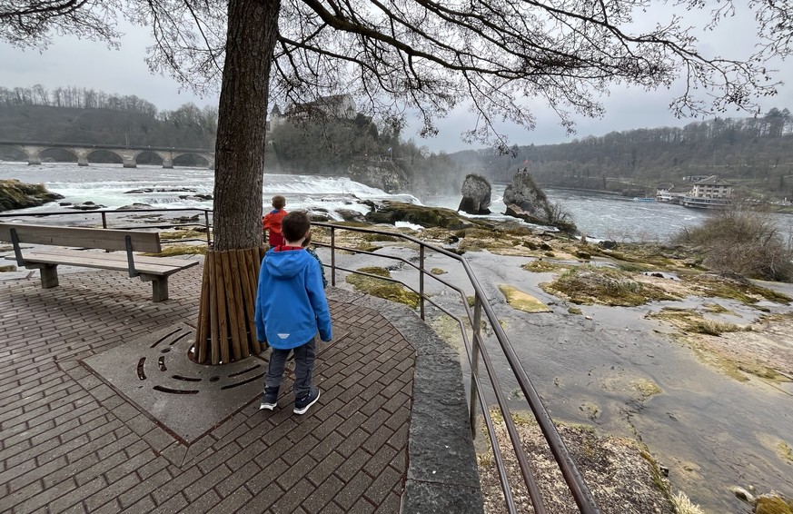Rheinfall 29. März 2025