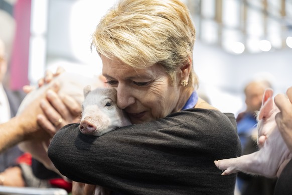 Bundespraesidentin Karin Keller-Sutter mit dem Saeuli Paola bei der Eroeffnung der 82. OLMA Schweizer Messe fuer Landwirtschaft und Ernaehrung, am Donnerstag, 9. Oktober 2025, in St.Gallen. Die Messe  ...