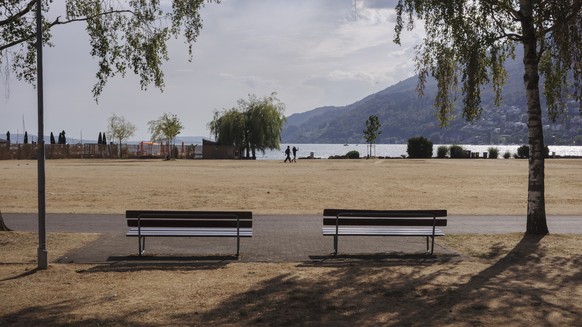 Die Hitze und die Trockenheit hinterlaessen ihre Spuren auf einer Wiese am der Bieler Seepromenade, fotografiert am Mittwoch, 15. Juli 2026 in Biel. (KEYSTONE/Christian Beutler)