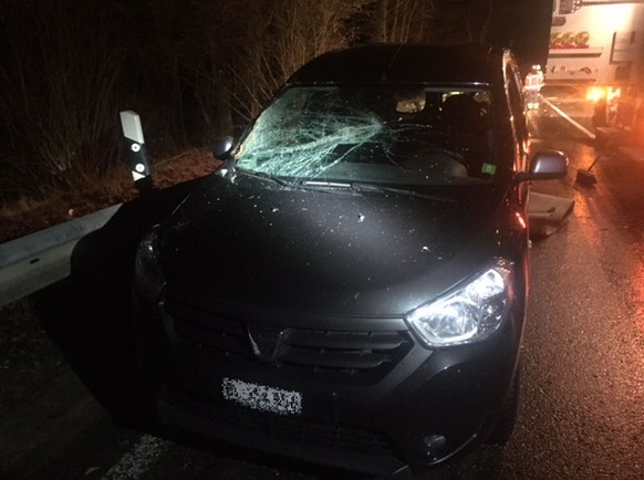 Pfeffingen BL, 13. Dezember 2017, 22:45 Uhr: Ein durch den Sturm entwurzelter Baum fiel auf auf einen fahrenden Personenwagen. Verletzt wurde niemand. (Bild: Polizei Basel-Landschaft).