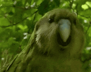 Animiertes GIF