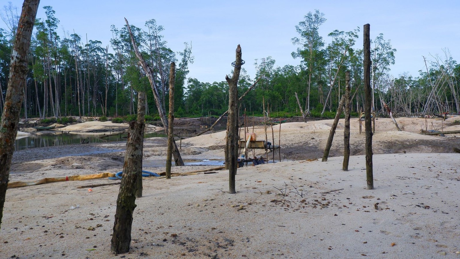 View Of A Barren Mangrove Forest Environment Due To Illegal Tin Sand Mining, In The Village Of Belo Laut in Indonesia.