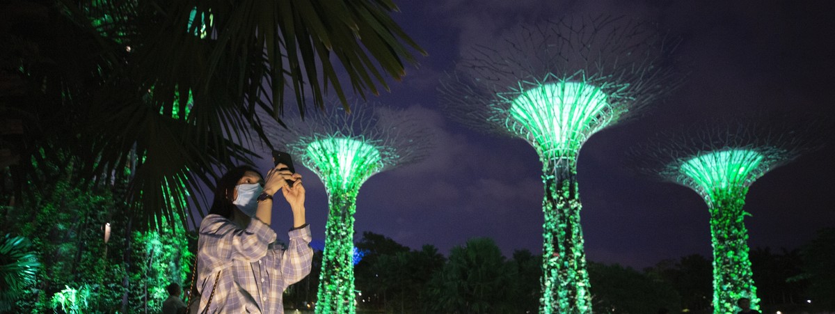 epa08274720 A tourist wearing a medical face mask takes pictures of the Supertree Grove at Gardens by the Bay, a popular tourist spot, in Singapore, 06 March 2020. Singapore's tourism sector is e ...