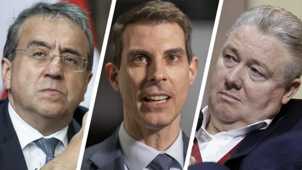 Ein-Multimillion-r-eine-hohe-Dividende-ein-FDP-Netzwerk-die-Serafe-Saga-in-5-Kapiteln