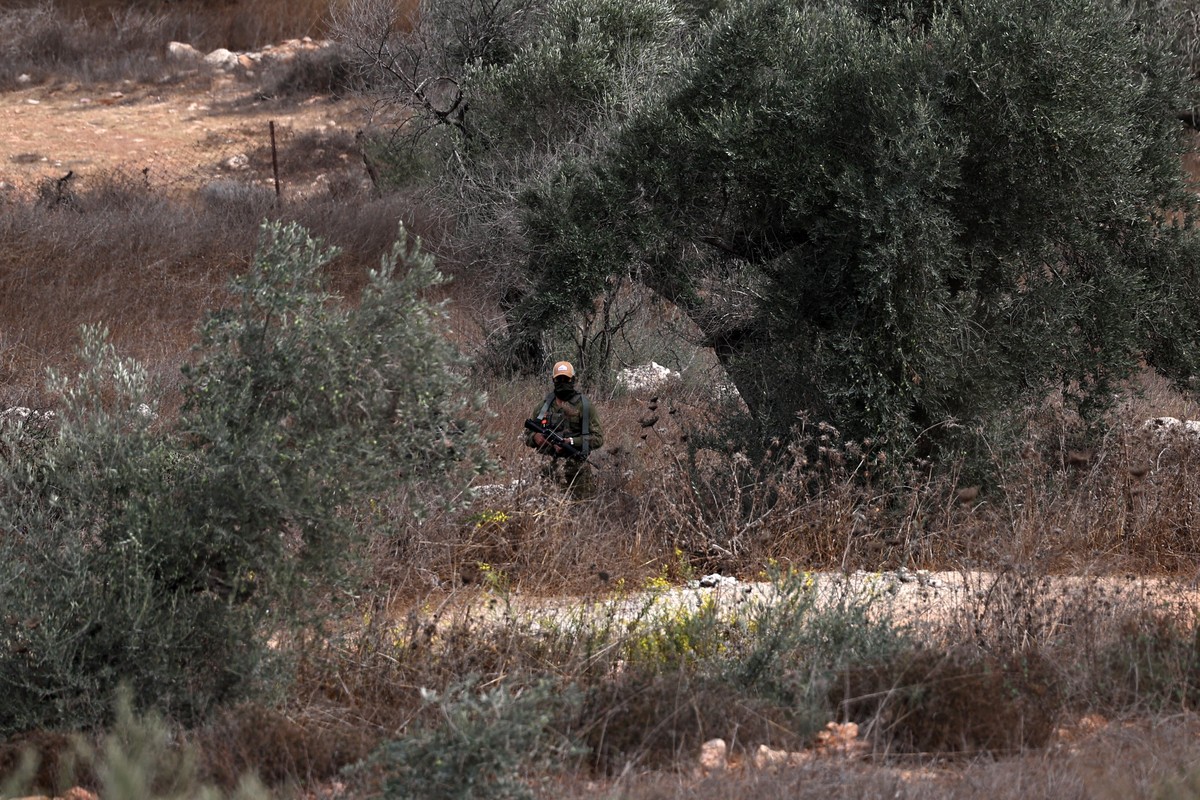 epa13303012 An Armed Israeli settler watches Palestinian farmers harvest olives in the West Bank town of Turmus Ayya, 14 October 2026. According to the Wafa news agency, Israeli settlers attempted to  ...