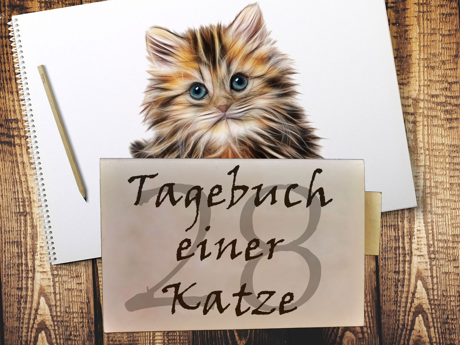 Aus dem Tagebuch einer Katze: «Ich einen Kater!»