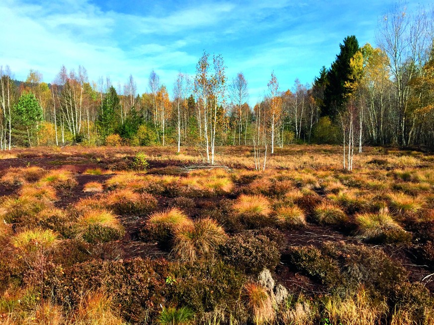 Hochmoor Vallée de la Sagne Rauszeit Herbstäler