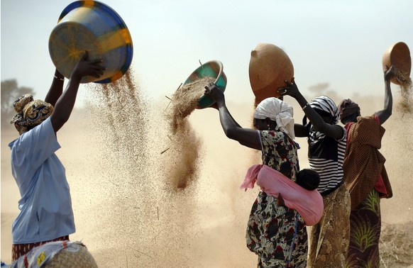 FILE- Malian women sift wheat in a field near Segou, central Mali, Jan. 22, 2013. In 2022, Families across Africa are paying about 45% more for wheat flour as Russia&#039;s war in Ukraine blocks expor ...