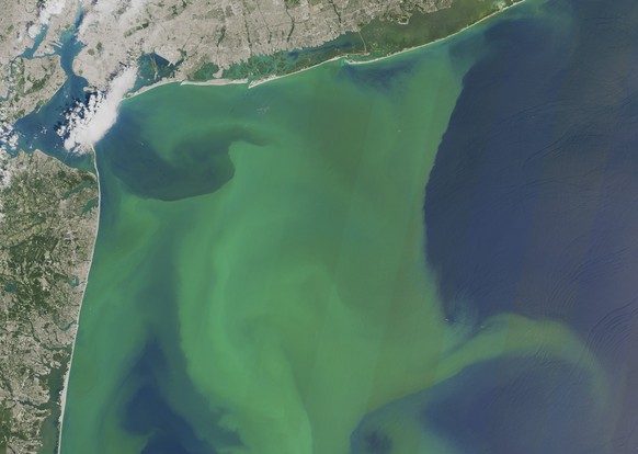 FILE - This Aug. 2015, file handout NASA satellite photo shows a large bloom of phytoplankton off the New York, top, and New Jersey, left, coast. Researchers and officials across the country say incre ...