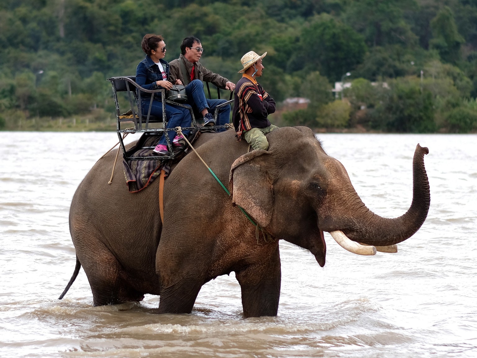 epa08958172 A handout photo made available by international organization Animals Asia shows tourists ride on an elephant at Lak lake in Lak district, Dak Lak province, Vietnam 20 January 2021 (issued  ...