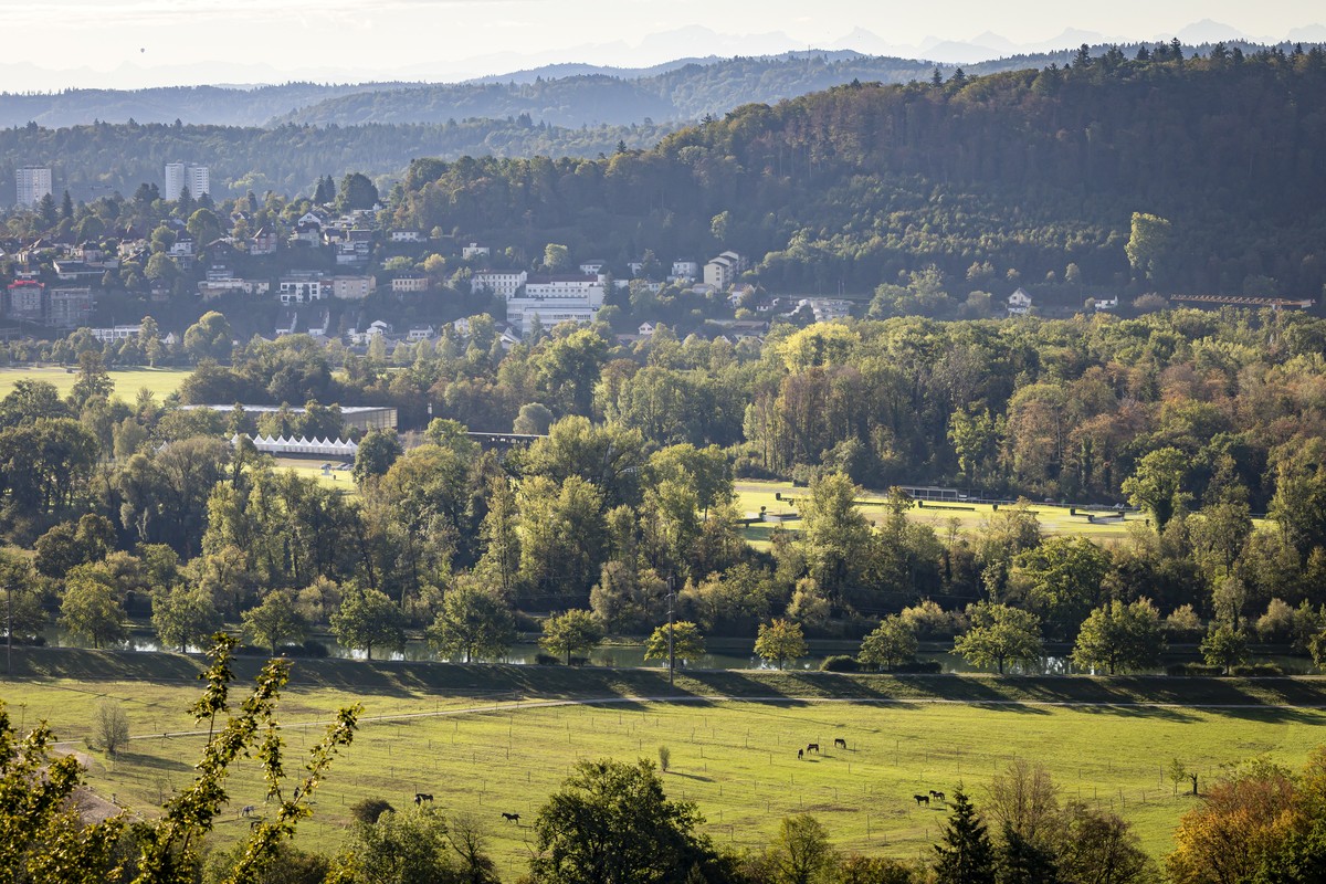 epa13199614 A general view shows an area of the Schachen horse racing track following a shooting, in Aarau, Switzerland, 30 August 2026. One person died and five others were injured after shots were f ...