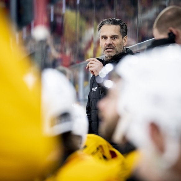 Head Coach Thierry Paterlini (SCL) reagiert im Spiel der Eishockey National League zwischen EHC Biel-Bienne, EHCB, und SCL Tigers, SCL, vom Donnerstag, 27. Februar 2025 in Tissot Arena in Biel. (KEYST ...