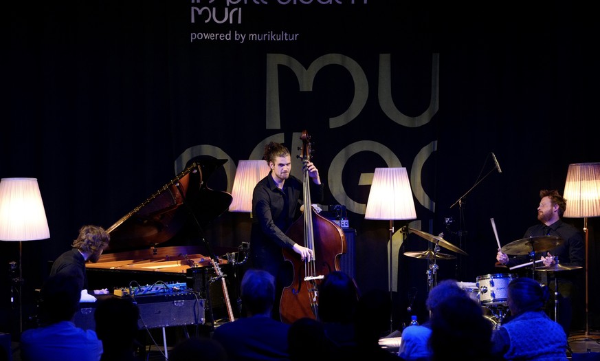 Gauthier Toux Trio bei musig im pflegidach, Muri