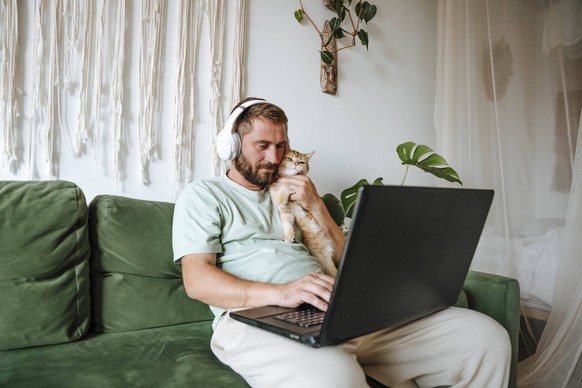 Man with cat sitting on the couch at home and using laptop model released, Symbolfoto property released, WESTF25343