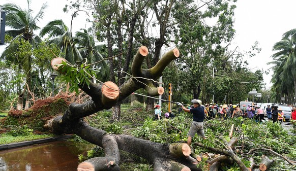 epa11590887 Staff members remove a fallen tree and branches on a street in Haikou, south China&#039;s Hainan Province, 07 September 2024. Super Typhoon Yagi pounded south China&#039;s island province  ...