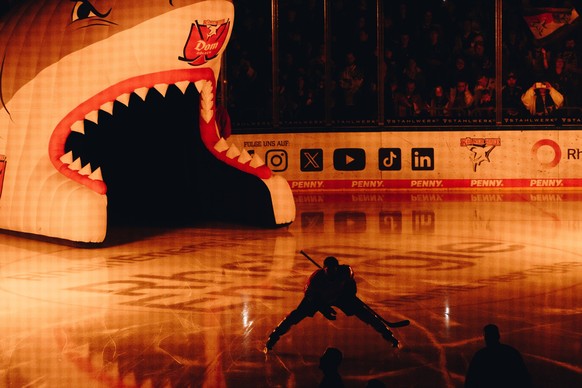 COLOGNE, GERMANY - 14 MARCH, 2024: Hockey match DEL KOELNER HAIE - ERC INGOLSTADT at Lanxess Arena PUBLICATIONxNOTxINxRUS Copyright: xVITALIIxKLIUIEVx