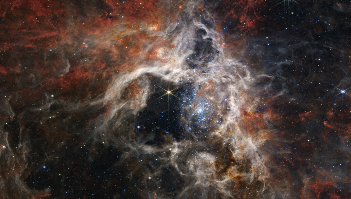 Le télescope spatial James Webb a dévoilé mardi de sublimes images de la nébuleuse de la Tarentule