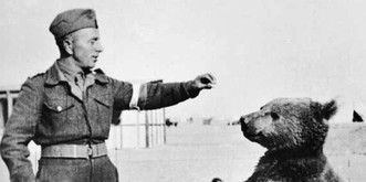 Wojtek, der polnische Soldatenbär, der Granaten trug