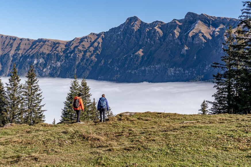 Winteregg Mürren