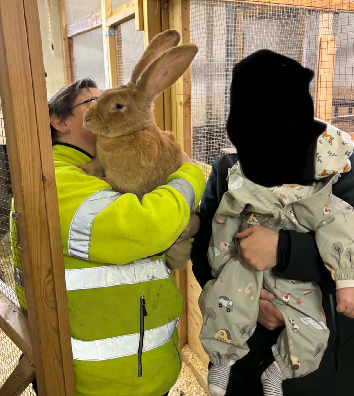 grosser Hase

https://www.threads.com/share/BBOBuVtlCN/