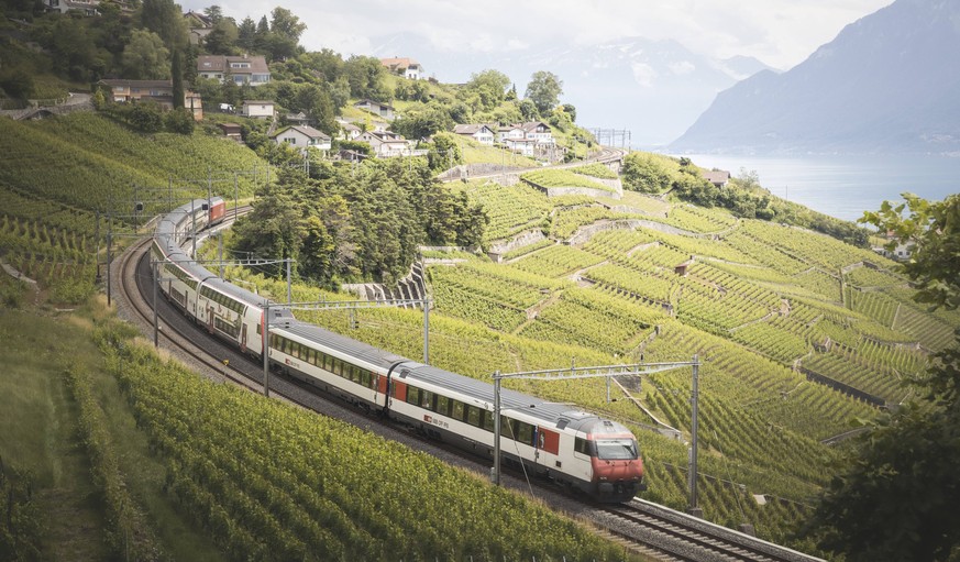 train crossing vineyards from aerial view Vevey, Vaud, Switzerland R_NEAN211202-874026-01