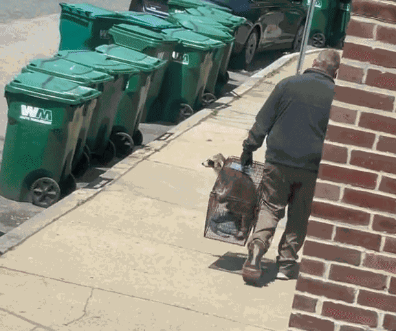 Animiertes GIF