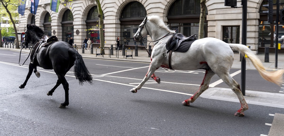 Two horses on the loose bolt through the streets of London near Aldwych, on Wednesday April 24, 2024. (Jordan Pettitt/PA via AP)