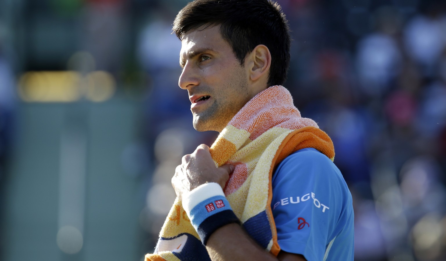 Novak Djokovic trocknet derzeit alle ab.