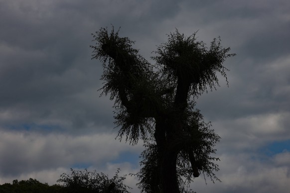 Ein kalter ungemuetlicher ungem