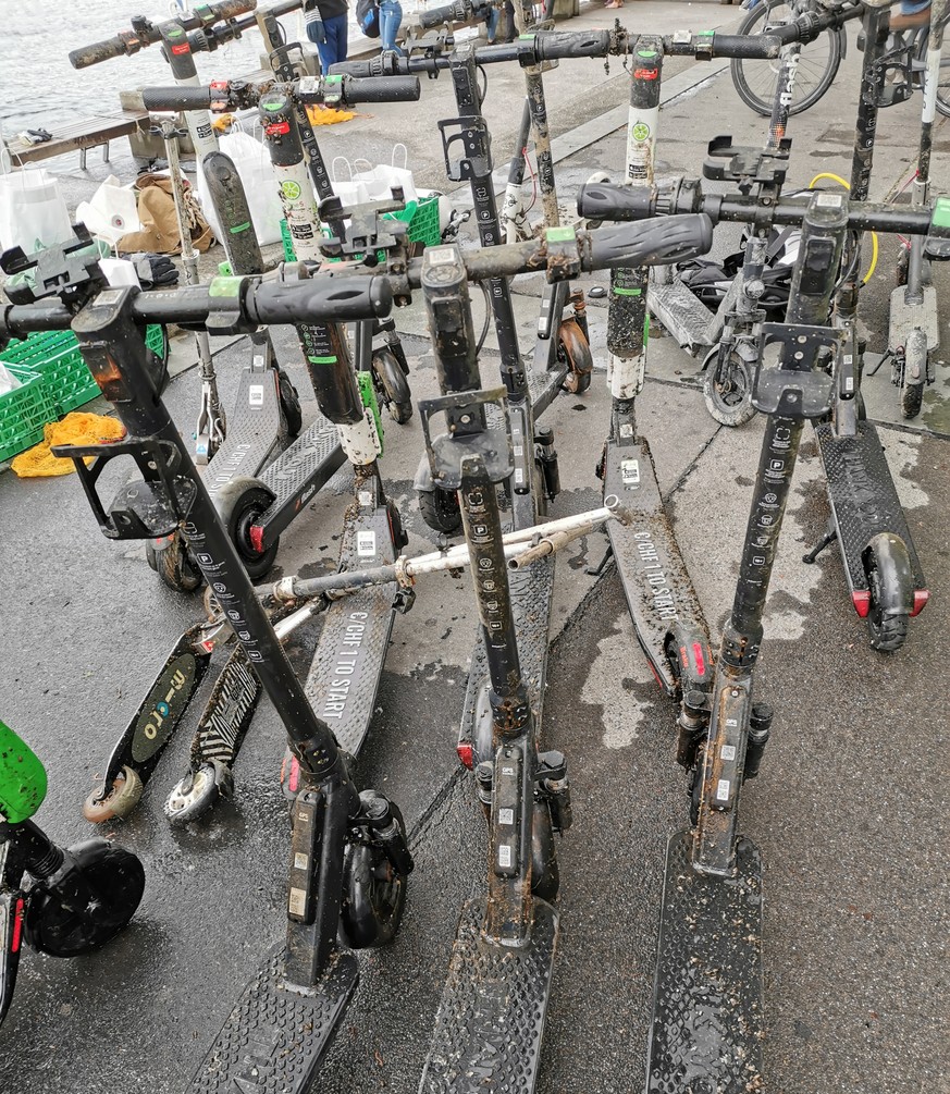 Taucher haben kürzlich innert wenigen Stunden zehn Miet-E-Scooter aus dem Zürichsee gezogen.