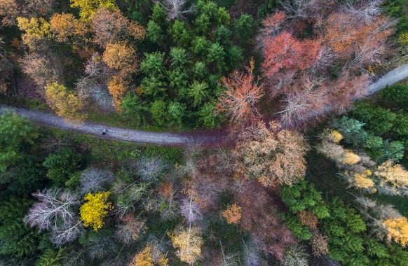 Zwei Personen gehen entlang eines Waldweges durch einen herbstlich verfaerbten Wald, aufgenommen mit einer Drohne am Sonntag, 27. November 2022 in Zuerich. (KEYSTONE/Michael Buholzer)