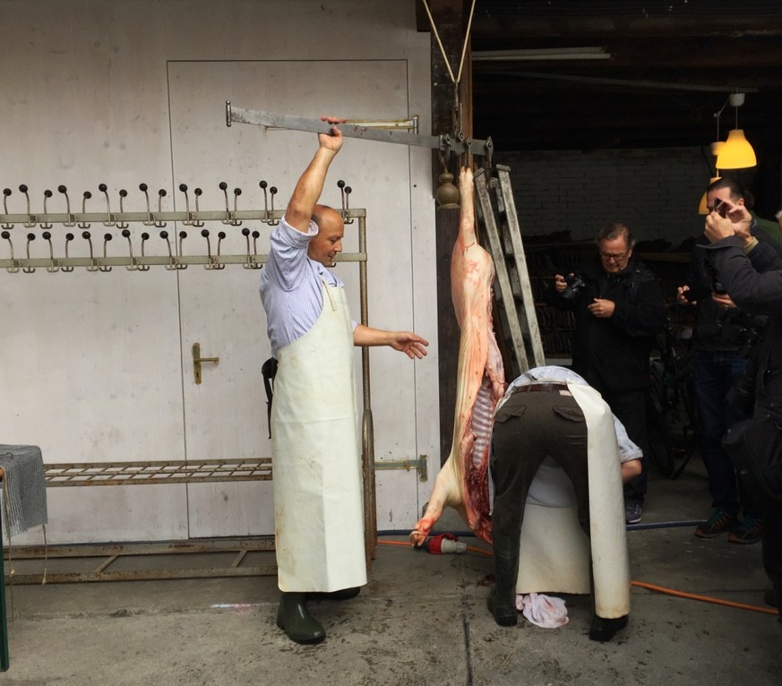 Nachdem Metzger Rolf Häring das Schwein zweigeteilt hat, wird es gewogen. Rund 40 Kilogramm bringt eine Hälfte auf die Waage.&nbsp;