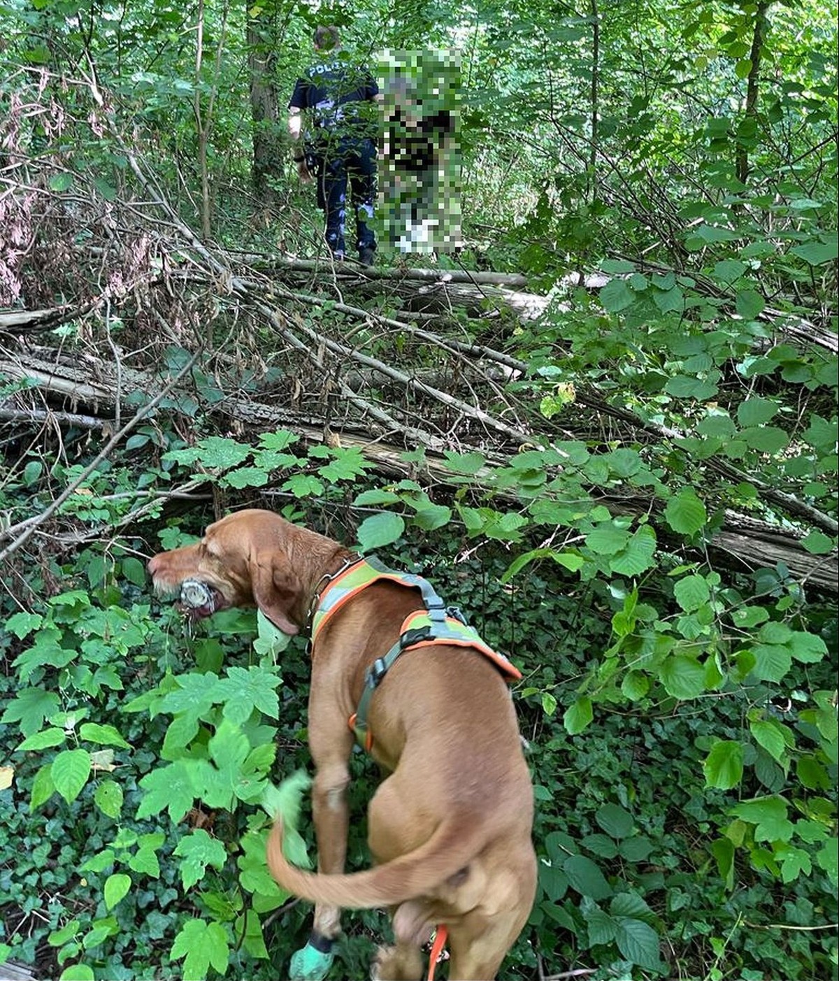 Polizei Baselland, Spürhund